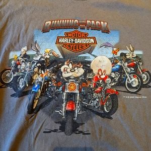 Warner Bros X Harley Davidson Vintage Grey T Shirt